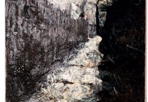 DSC_8433.jpg